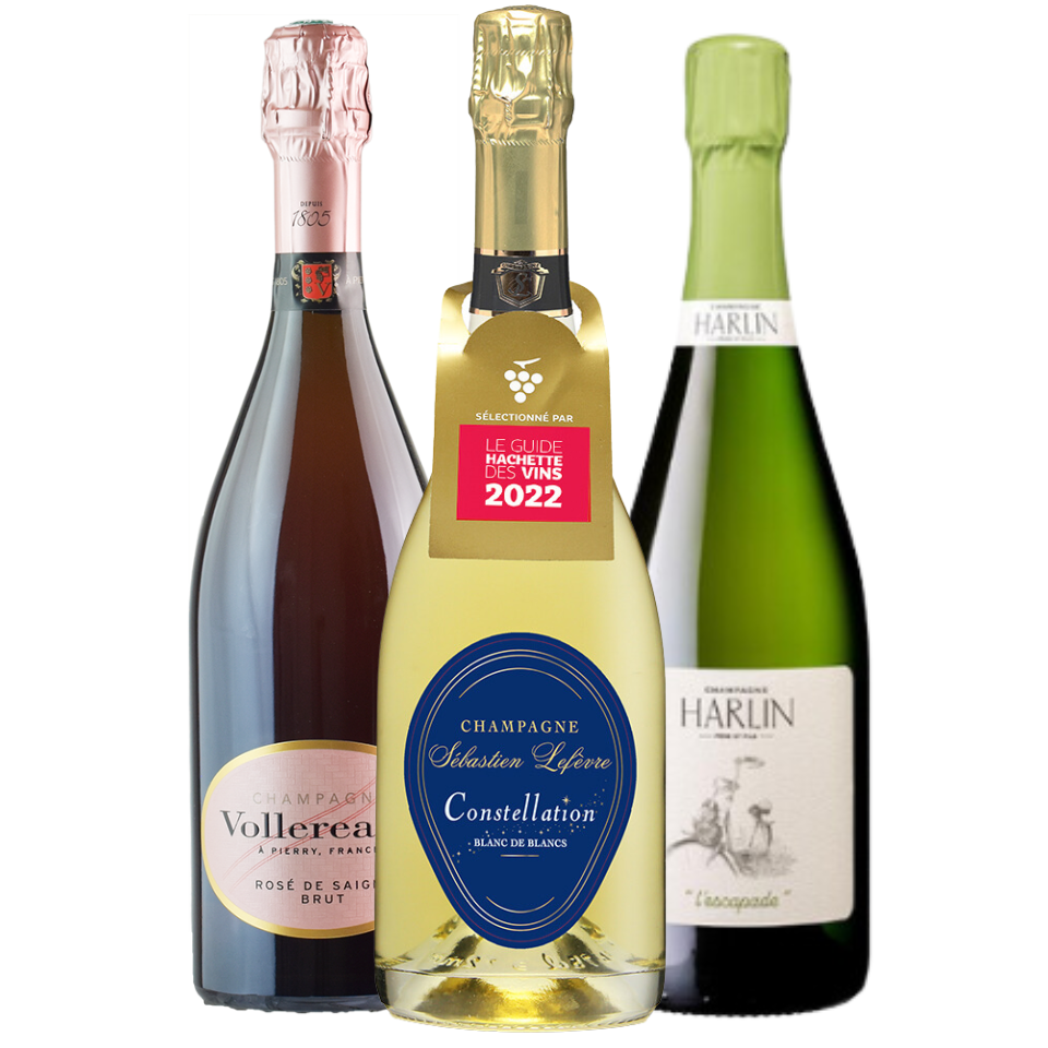The Christmas Day Bubbles Case| The Secret Vine Wine Cases & The ...