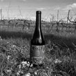 Load image into Gallery viewer, Redbeard Grenache
