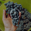 Load image into Gallery viewer, The English Vine Yearly Membership
