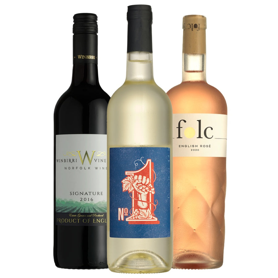 A Taste of English Vegan Wine The English Vine