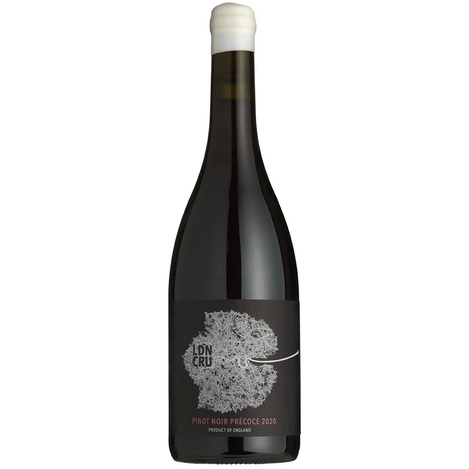 London Cru Pinot Noir Précoce | English Red Wine | The English Vine